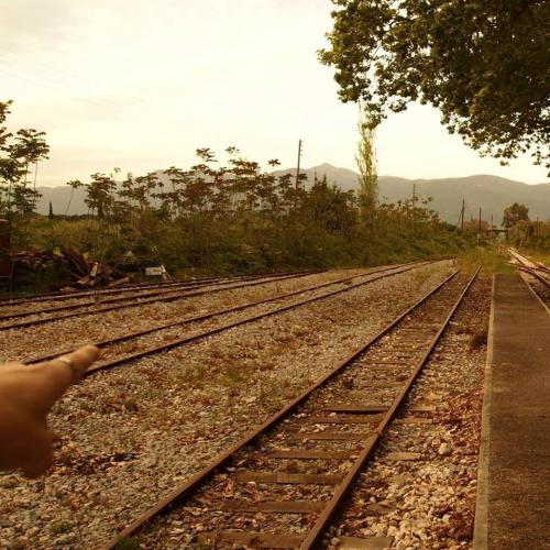 10298772 935199913222191 6441745065452232121 n