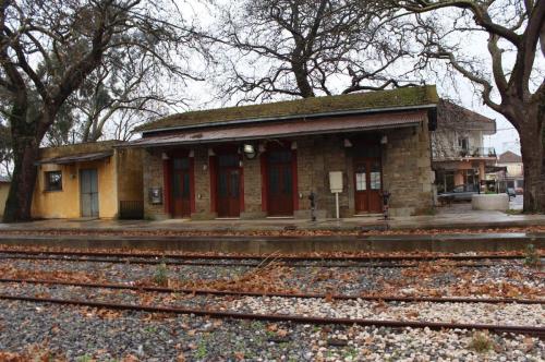 12401903 979695342105981 7719438191975295829 o