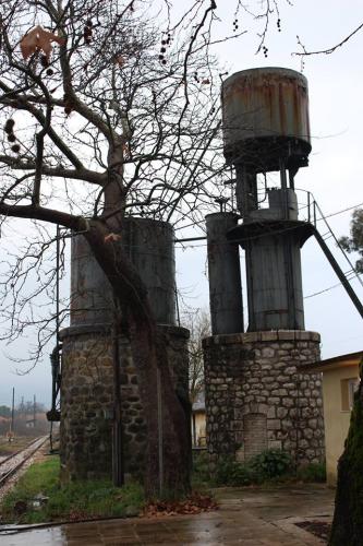 12439133 979697412105774 9199352942510950687 n