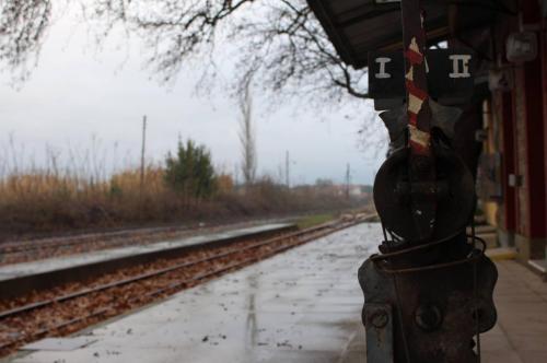 12493559 979696625439186 4031762997132263123 o