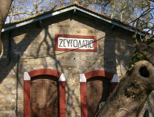 12957434 1131010310289232 6383146288767060962 o